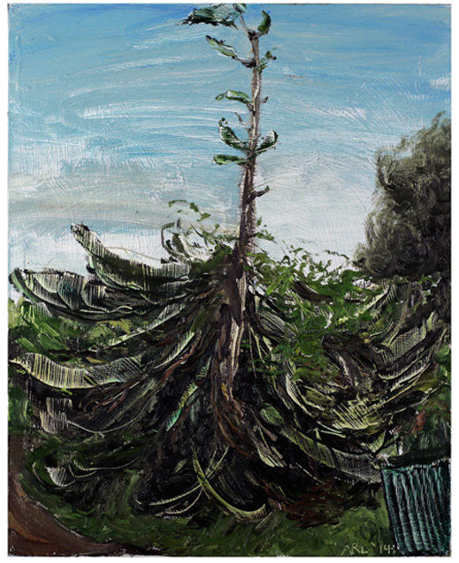 Attila Richard Lukacs, Norfolk Pine, 2014, oil on canvas, 30 x 21”