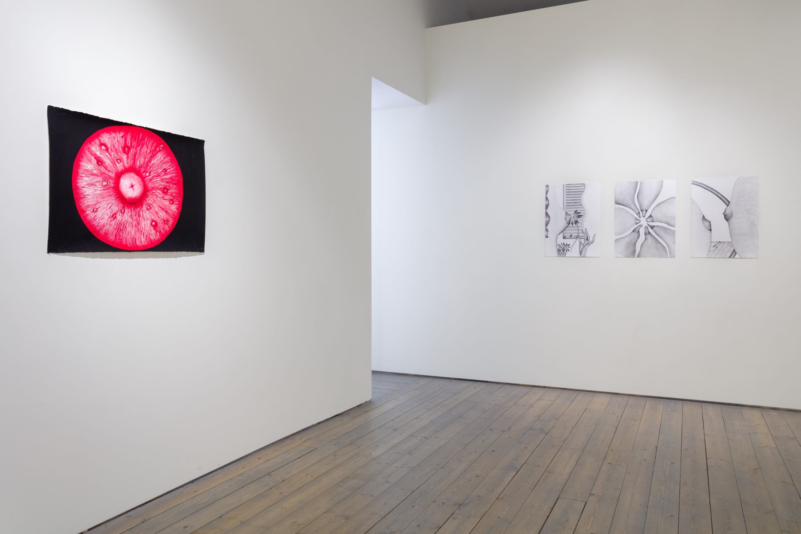 Install view of Combat Zone