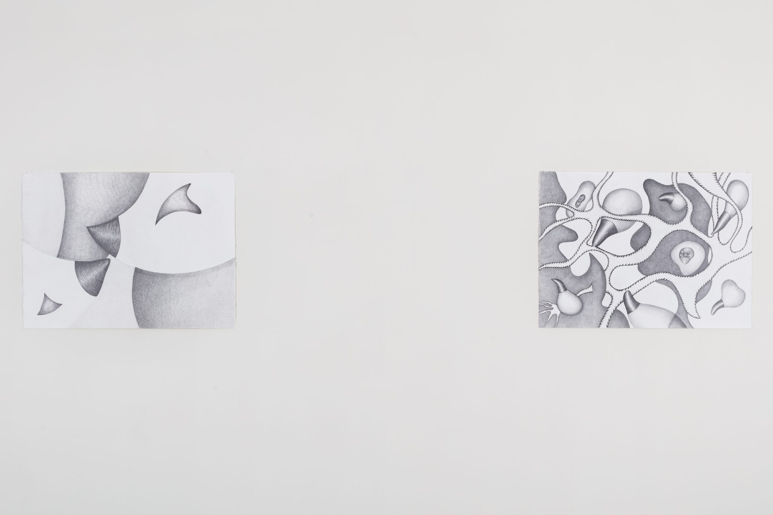 Install view of Slice and Demonic Sucklings