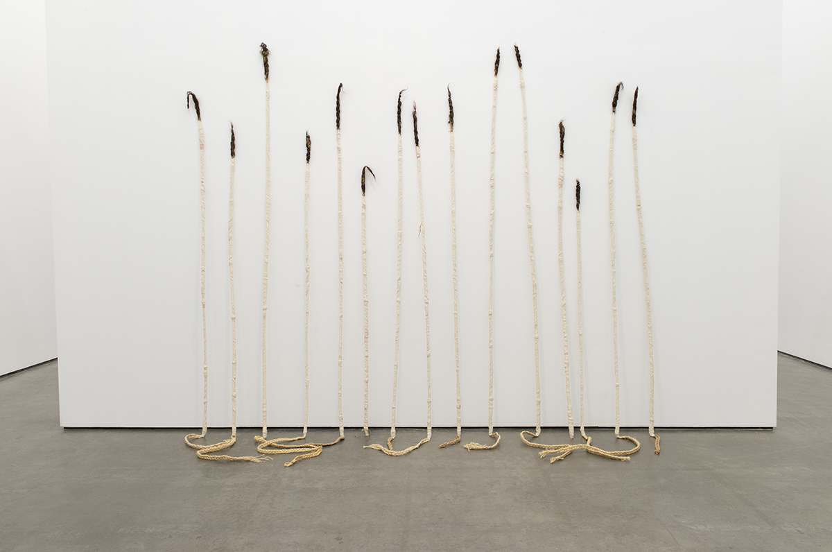 DIVINERS GRASSES