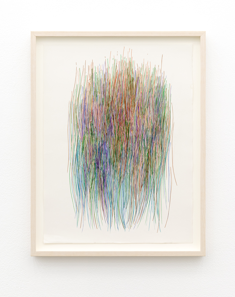 Diviners Grasses