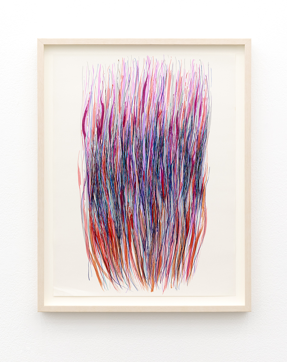 Diviners Grasses