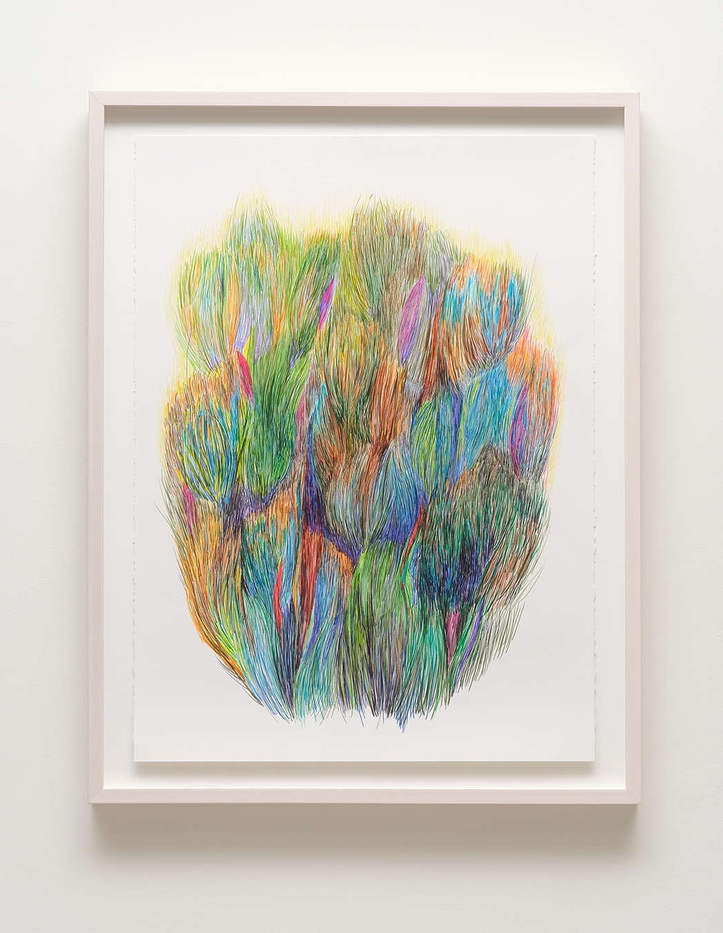 Diviners Grasses