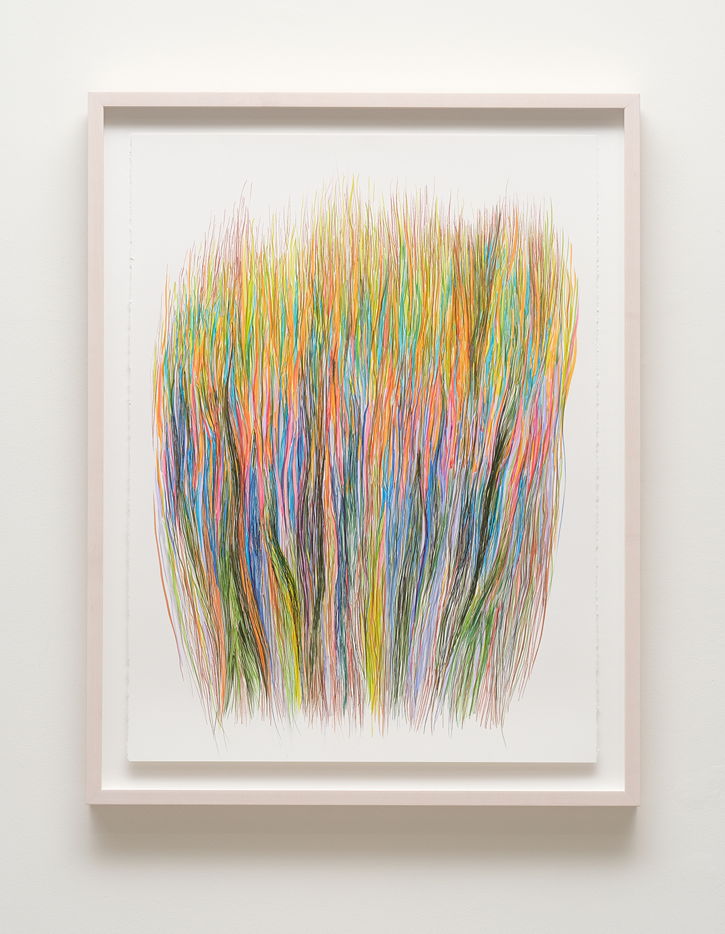 Diviners Grasses