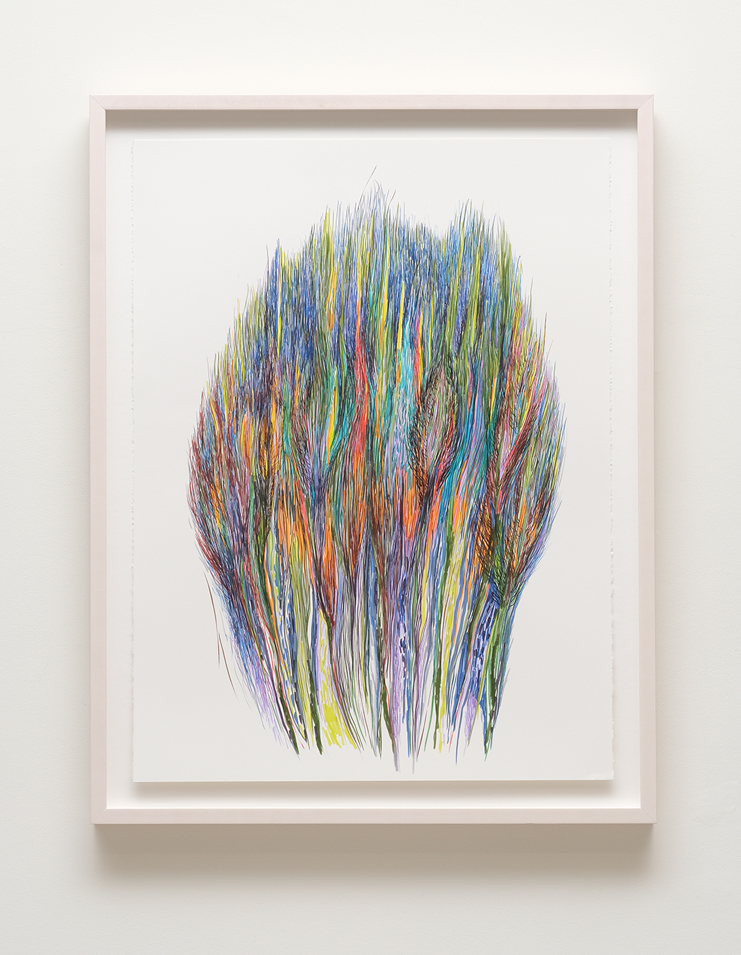Diviners Grasses