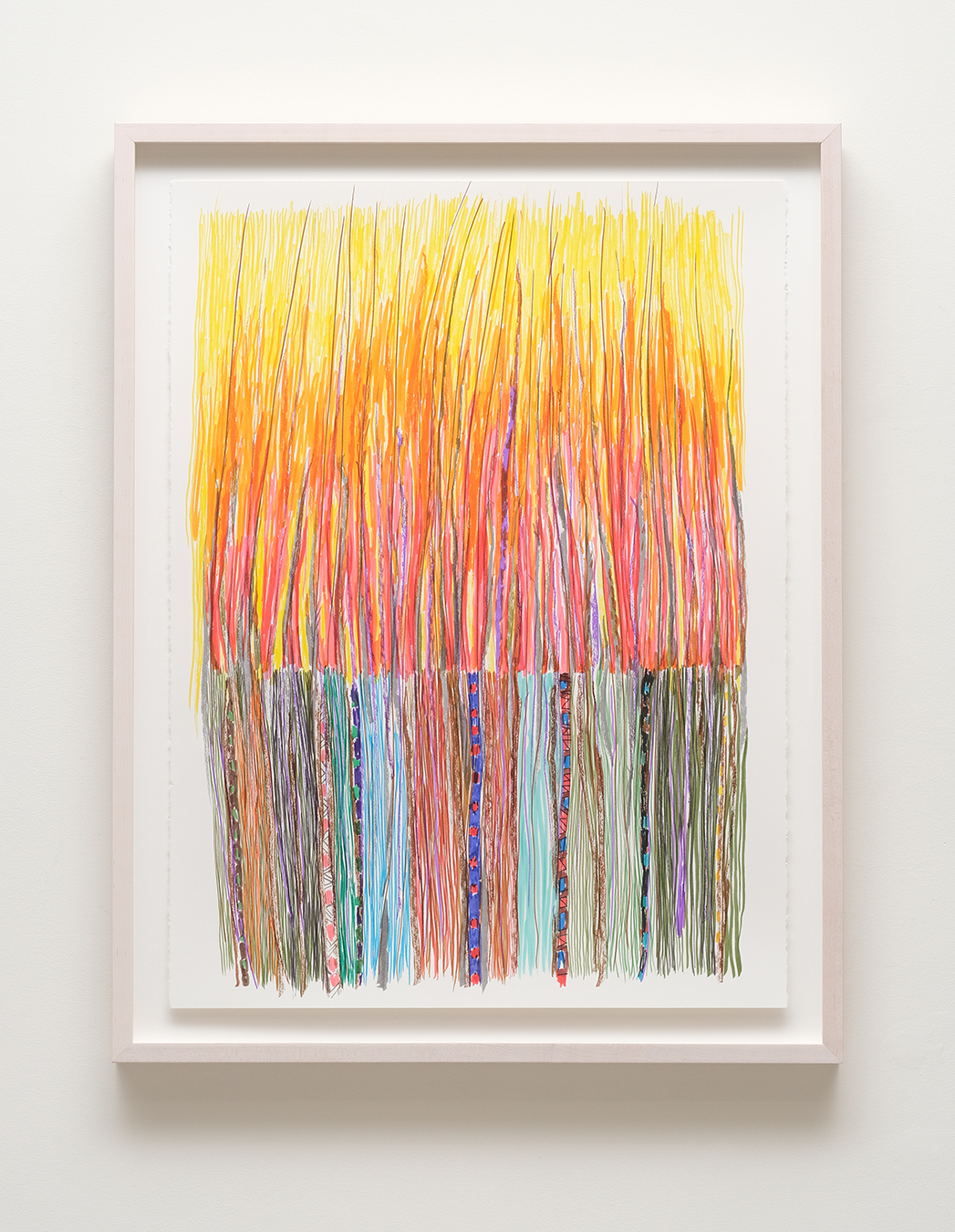Diviners Grasses