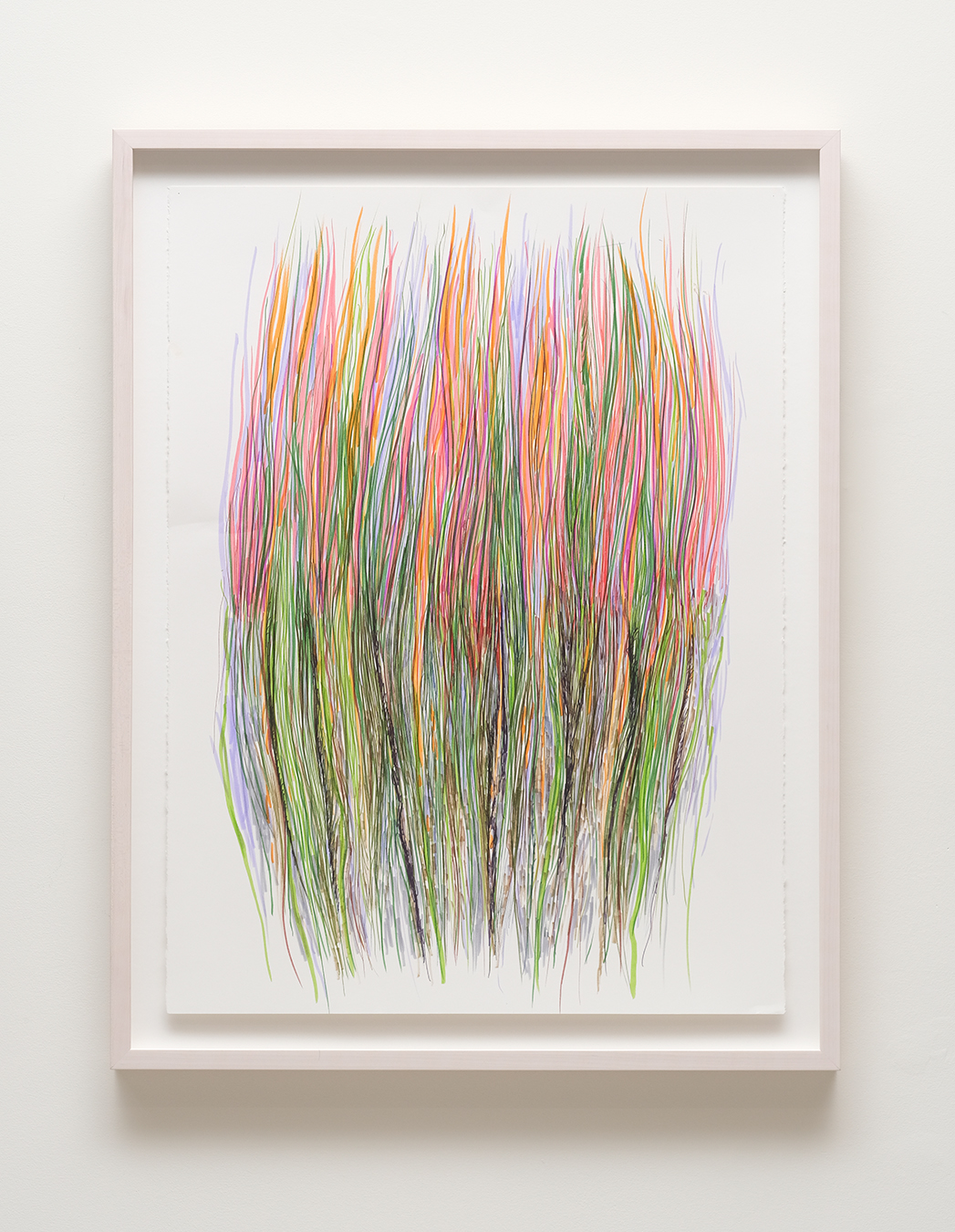 Diviners Grasses