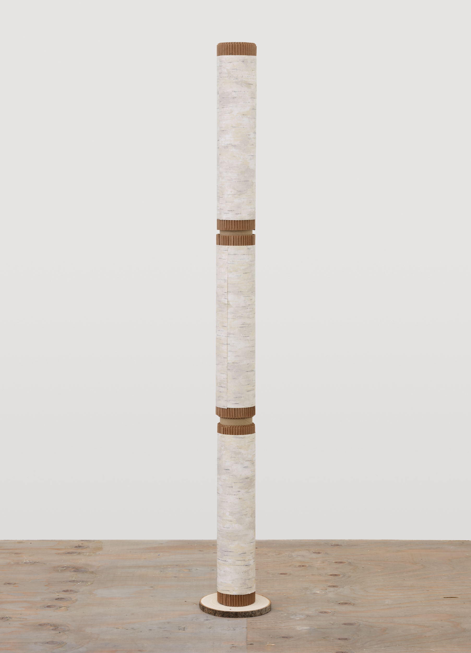 Birch Bark Doodem